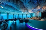 和鱼共餐 印度洋海底夜店变身高档餐厅