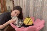 刘亦菲分享日常素颜美照 黑长直发型与猫咪互动眼神温柔